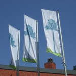 mjk2011 004
